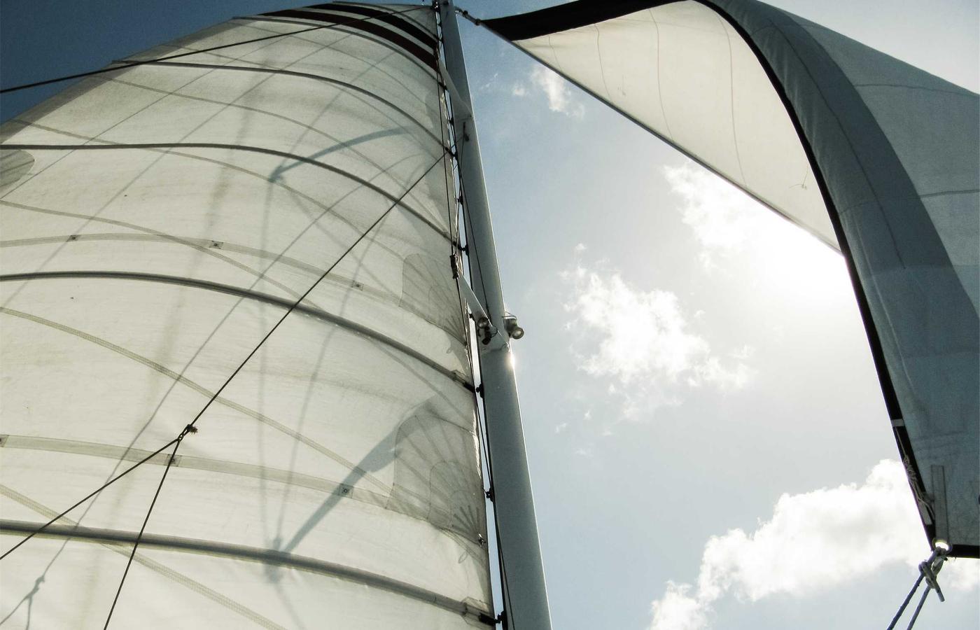 Portretul lui Andrei Popescu