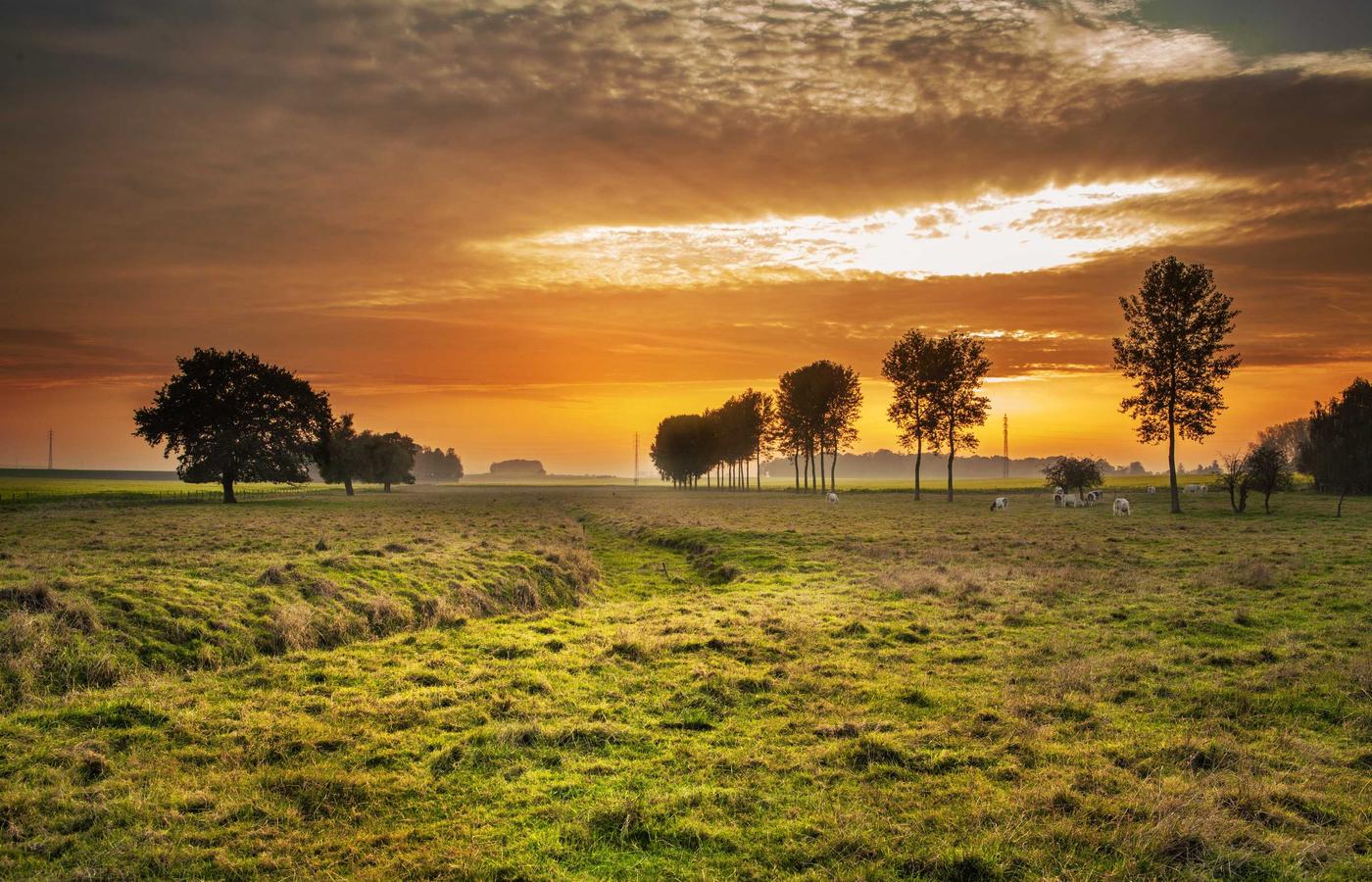 Portretul Ralucăi Dumitru